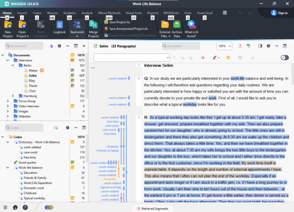 MAXQDA 24.10 Full Version Cracked - Image 6