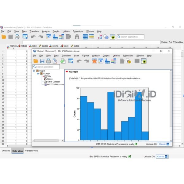 IBM SPSS 29 License Key for Windows and MAC - Image 4